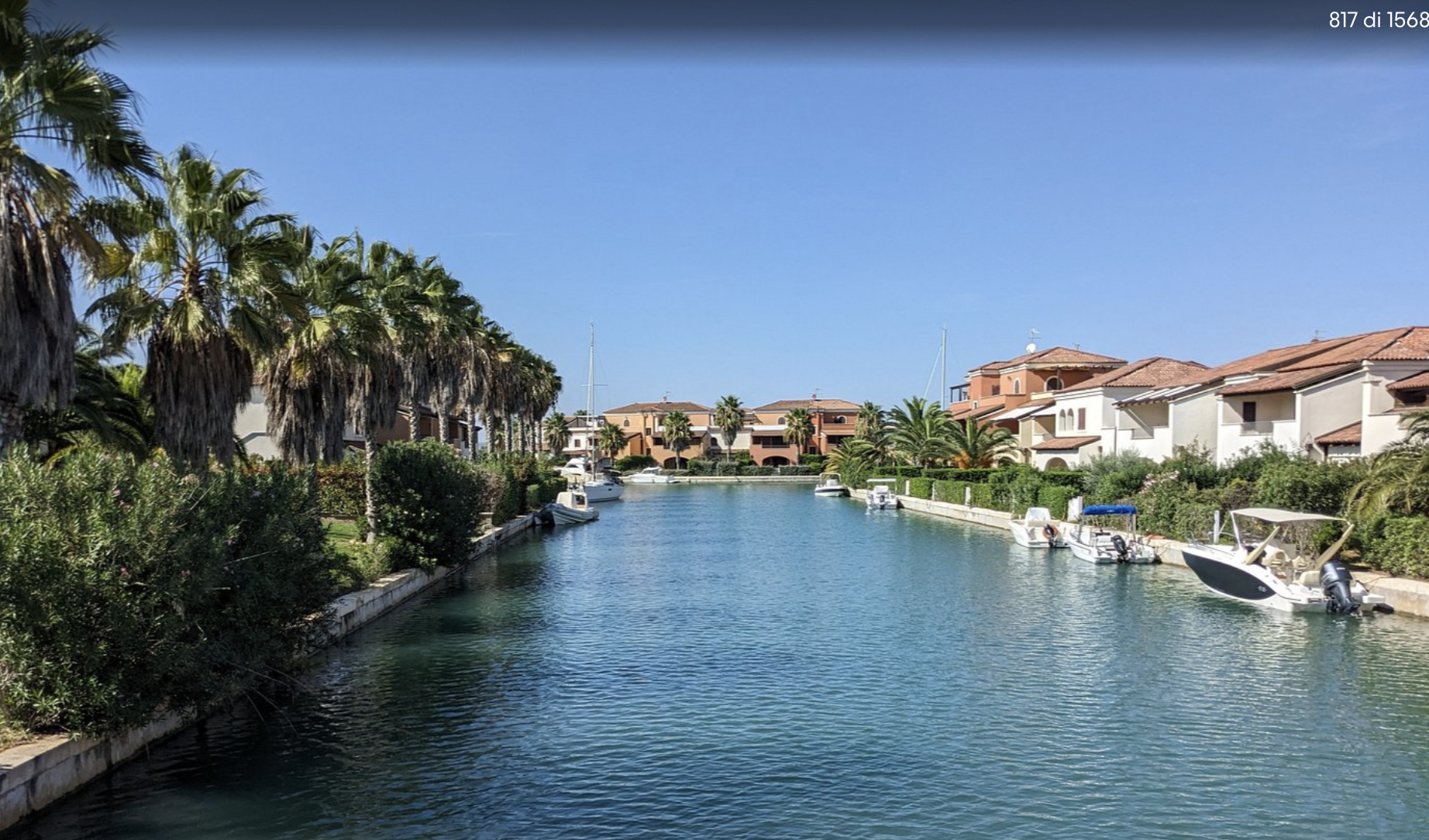 Canale della marina con palme e ville