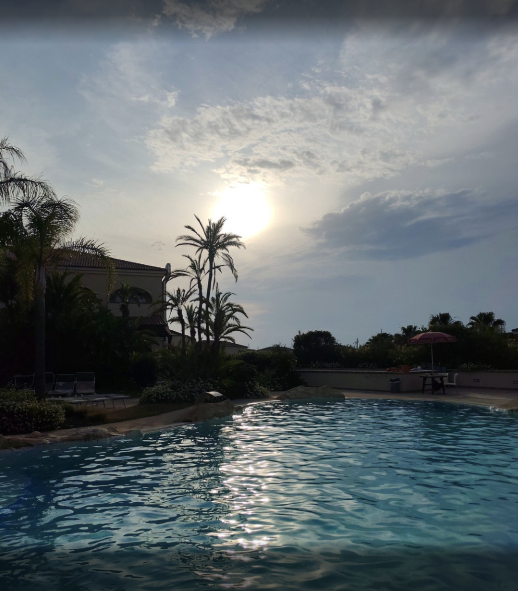 Piscina con sole e palme